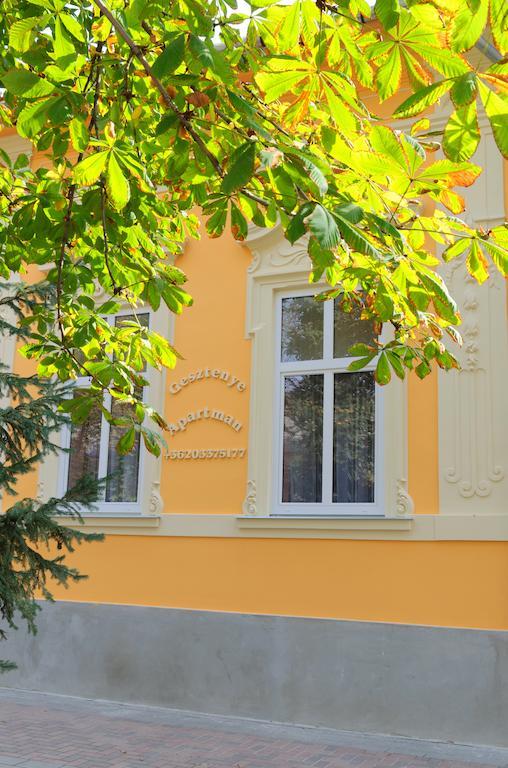 Gesztenye Apartman Makó Zewnętrze zdjęcie